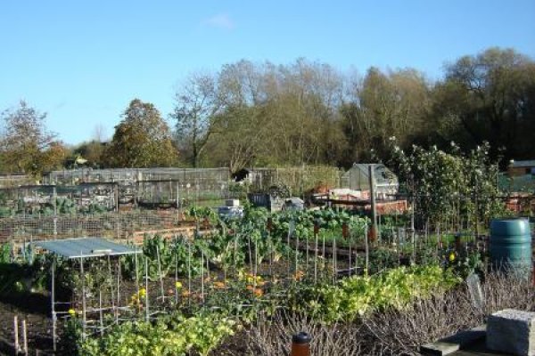 allotments